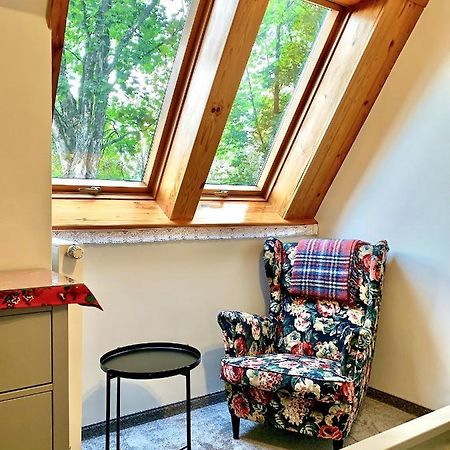 Apartament Gimnazjalna 8A ザコパネ エクステリア 写真