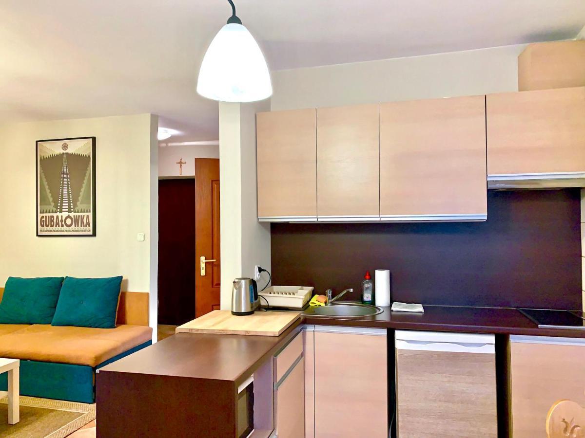 Apartament Gimnazjalna 8A ザコパネ エクステリア 写真