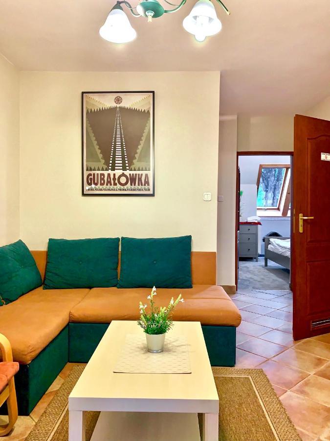 Apartament Gimnazjalna 8A ザコパネ エクステリア 写真